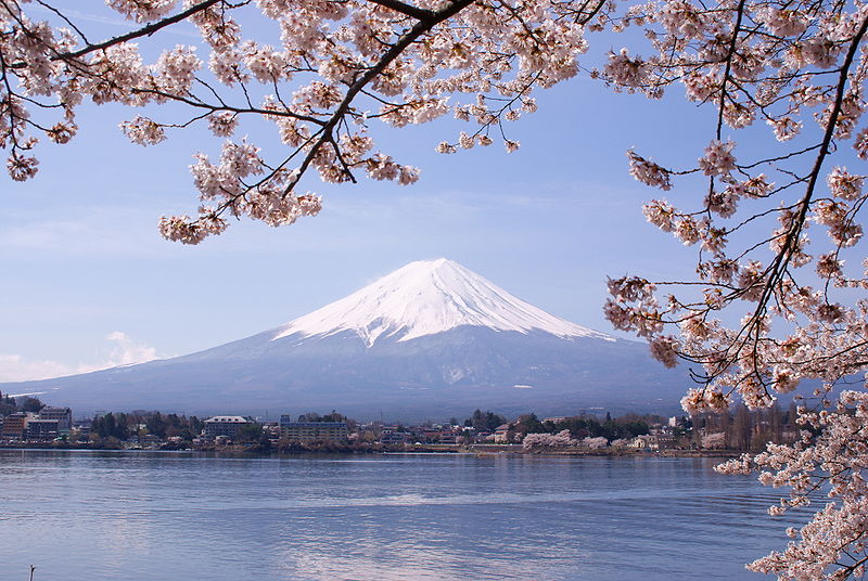 800px-Lake_Kawaguchiko_Sakura_Mount_Fuji_3.jpg